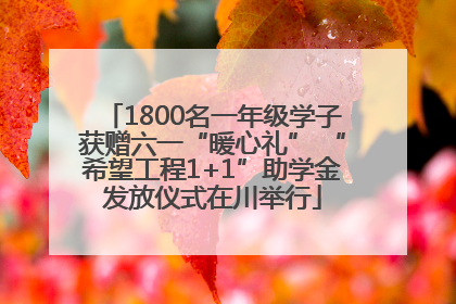 1800名一年级学子获赠六一“暖心礼” “希望工程1+1”助学金发放仪式在川举行
