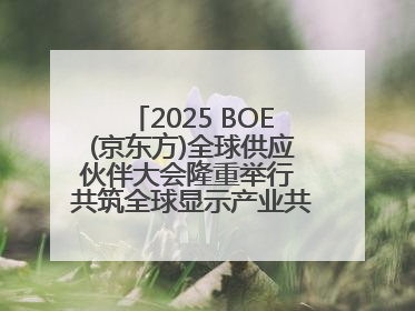 2025 BOE(京东方)全球供应伙伴大会隆重举行 共筑全球显示产业共生共赢新格局