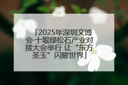 2025年深圳文博会·十堰绿松石产业对接大会举行 让“东方圣玉”闪耀世界