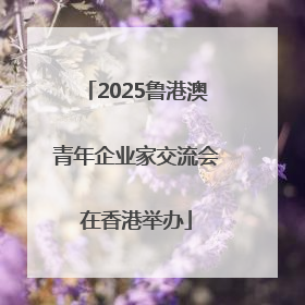 2025鲁港澳青年企业家交流会在香港举办