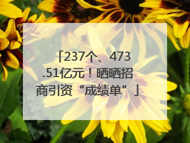 237个、473.51亿元！晒晒招商引资“成绩单”