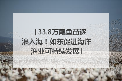33.8万尾鱼苗逐浪入海！如东促进海洋渔业可持续发展