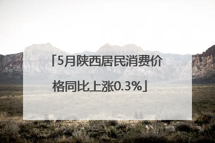 5月陕西居民消费价格同比上涨0.3%
