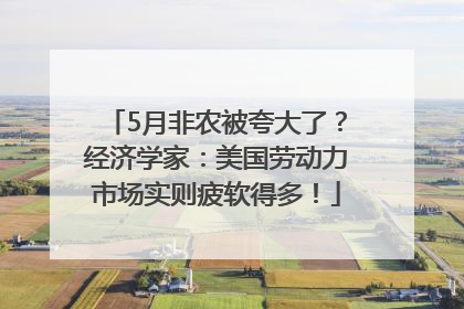 5月非农被夸大了？经济学家：美国劳动力市场实则疲软得多！