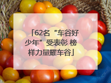 62名“车谷好少年”受表彰 榜样力量耀车谷