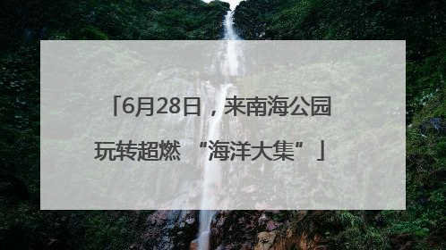6月28日，来南海公园玩转超燃 “海洋大集”