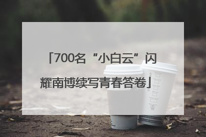 700名“小白云”闪耀南博续写青春答卷