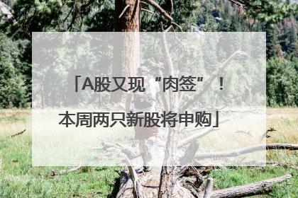A股又现“肉签”！本周两只新股将申购