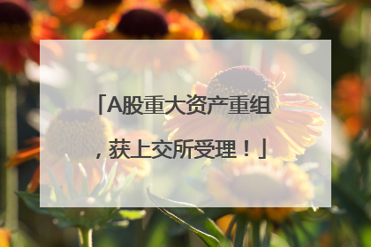 A股重大资产重组，获上交所受理！