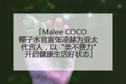 Malee COCO椰子水官宣张凌赫为亚太代言人，以“美不费力”开启健康生活好状态